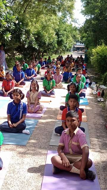 International Yoga Day