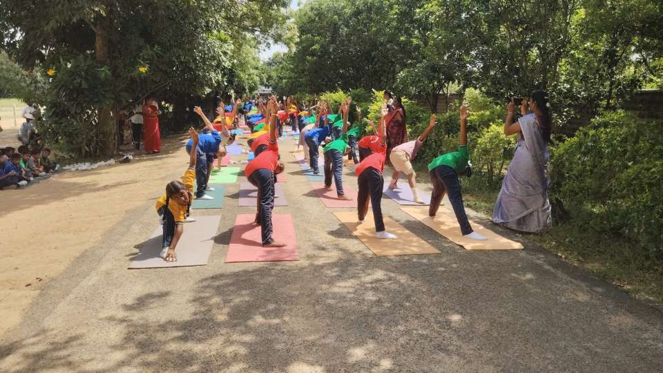 International Yoga Day